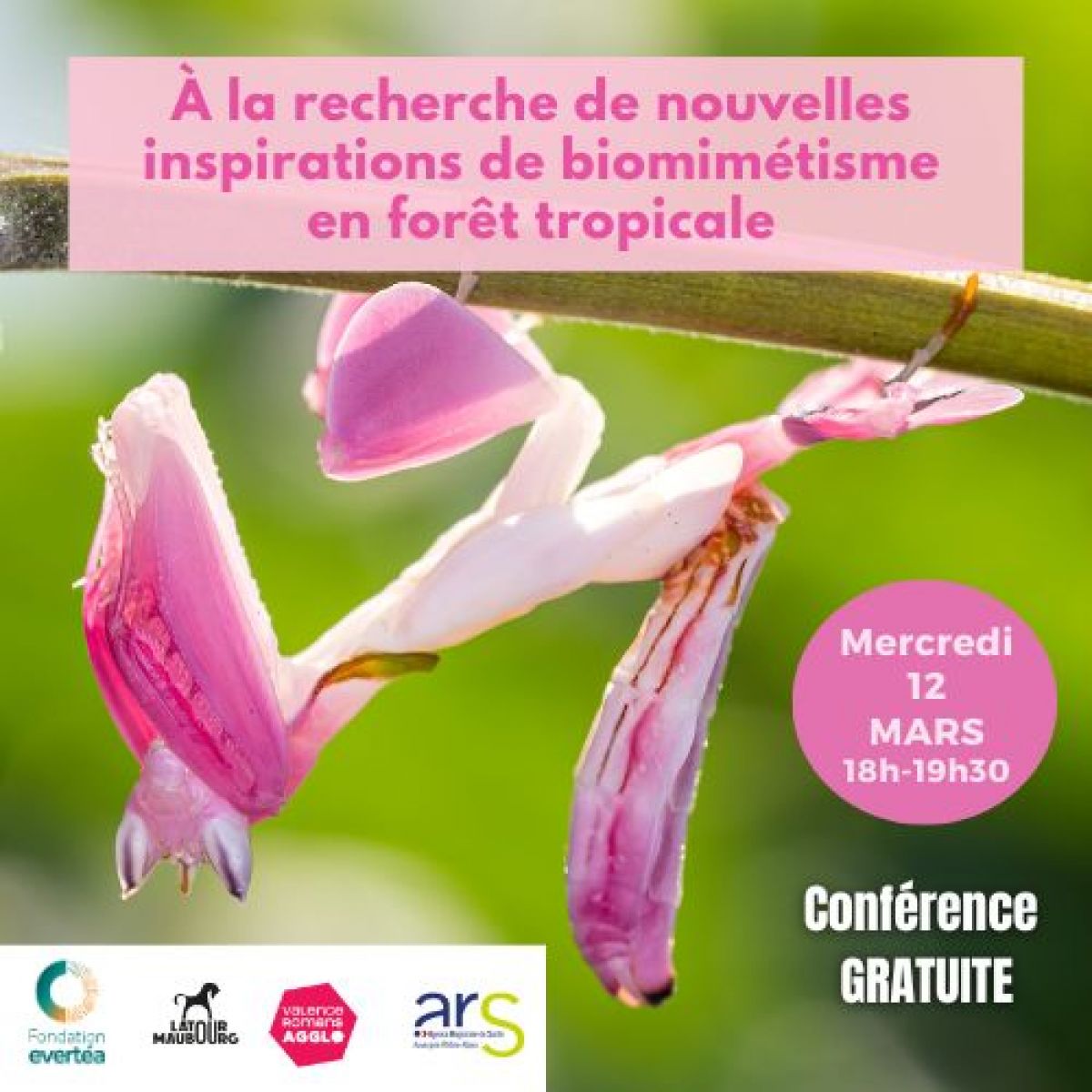 Conférence - À la recherche de nouvelles inspirations de biomimétisme en forêt tropicale
