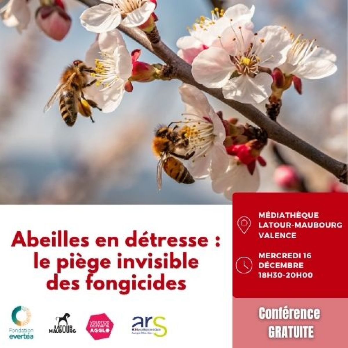 Conférence - Abeilles en détresse : le piège invisible des fongicides